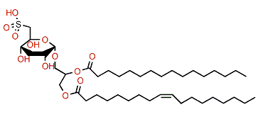2-O-Hexadecanoyl-1-O-(9Z-octadecenoyl)glycerol 3-(6-deoxy-6-sulfo-a-D-glucopyranoside)